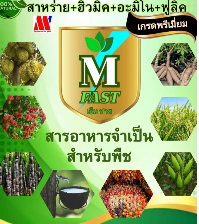 STARTER M FAST 40กรัม 1ซอง