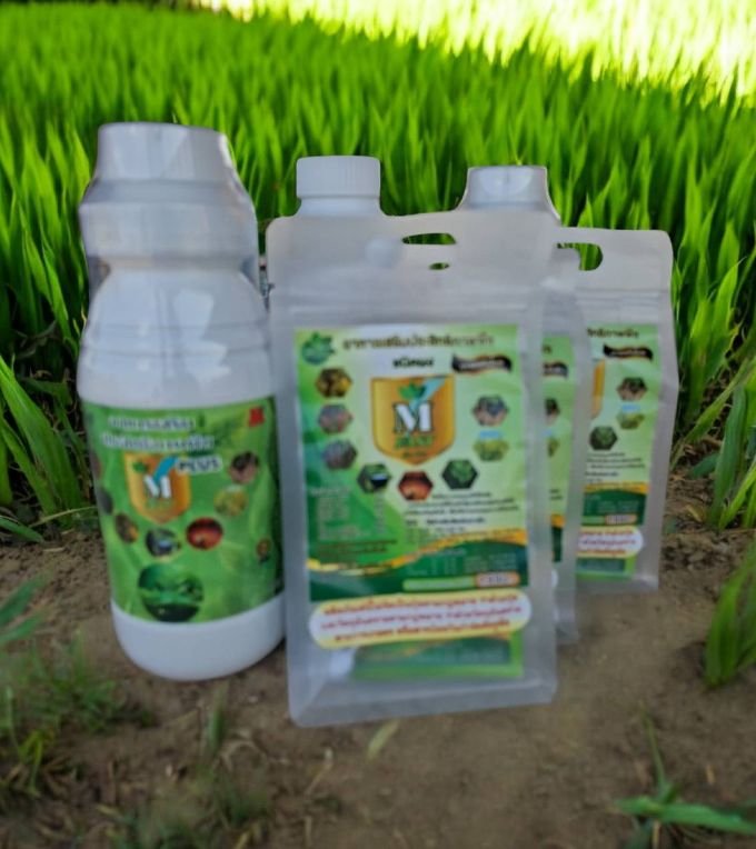 ชุดโปรโมชั่น อาหารเสริมพืชชนิดผงและชนิดน้ำ 3+3